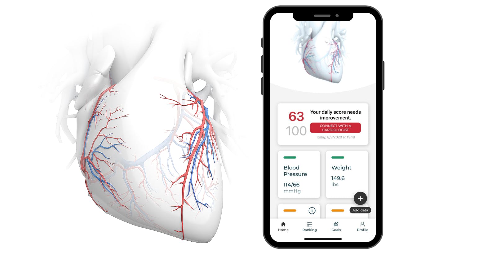 An illustration of a heart showing veins and arteries next to a phone with a screen from the Corverix app.