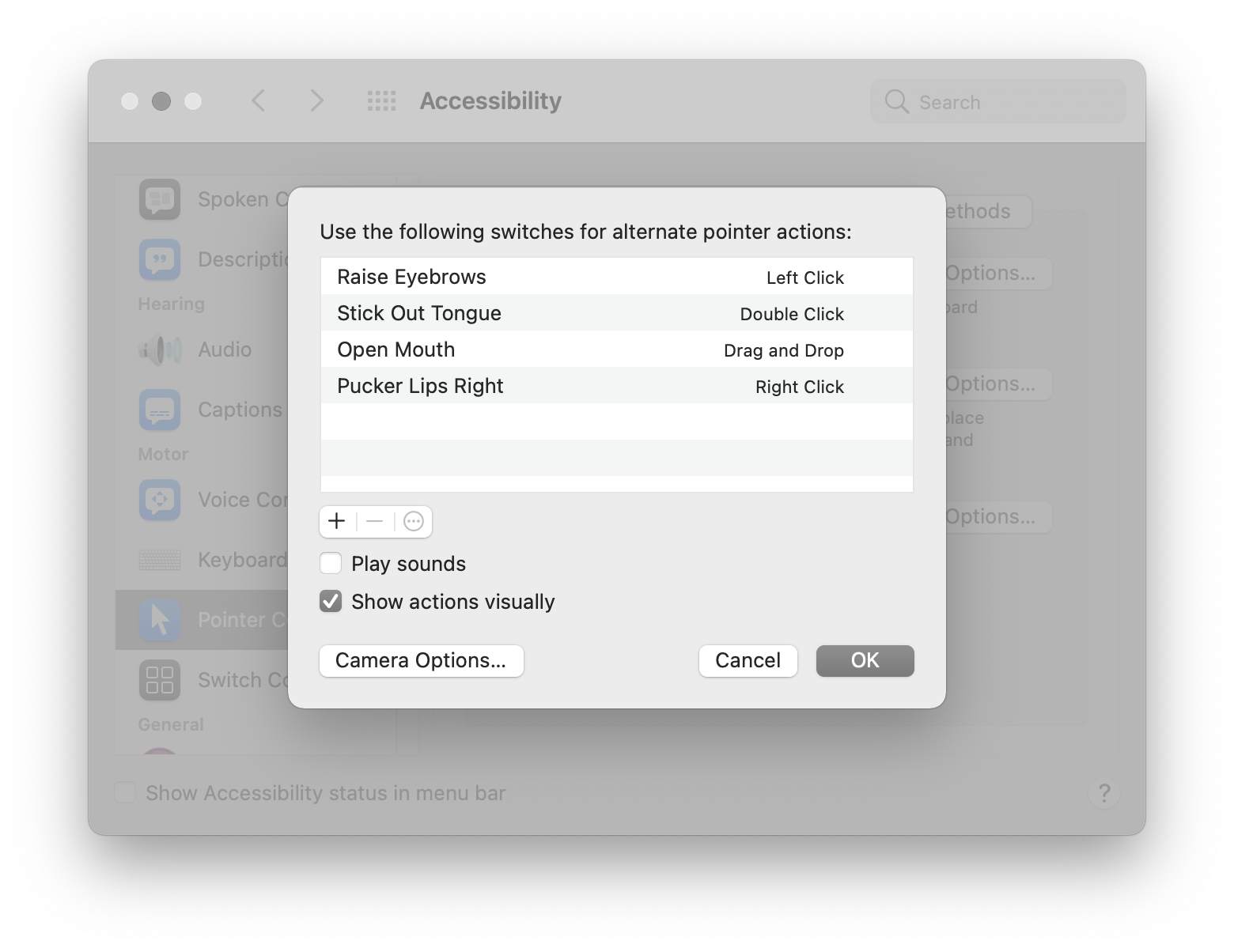 Raise Eyebrows performs a Left Click, Stick Out Tongue performs a Double Click, Open Mouth performs a Drag and Drop, and Pucker Lips performs a Right Click. Screenshot.